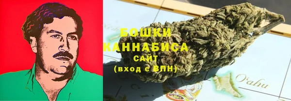 твердый Сясьстрой