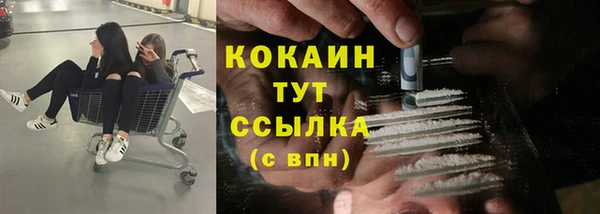 стаф Армянск