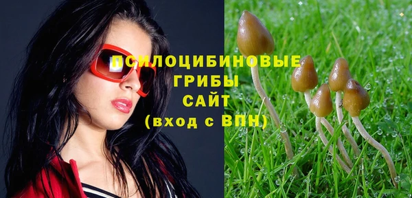 мет Баксан